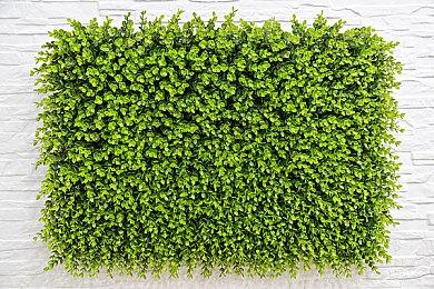 《抑郁的房间》5月4日正式发售 Demo现已上线